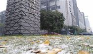 天然氣供暖實(shí)現(xiàn)不了！農(nóng)村清潔取暖從哪入手？