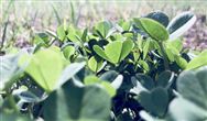 【大盤點】818近年來那些跨界進入環(huán)保的“巨鱷